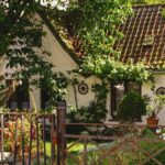 Wat heb je nodig als je je tuin gaat inrichten
