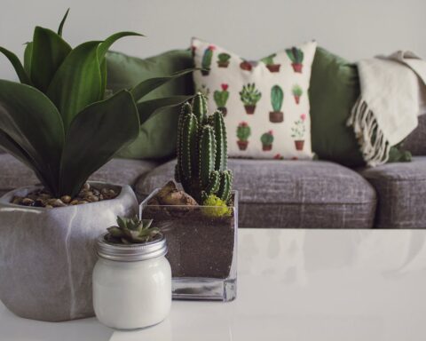 Screens zijn de perfecte mix van functionaliteit en design